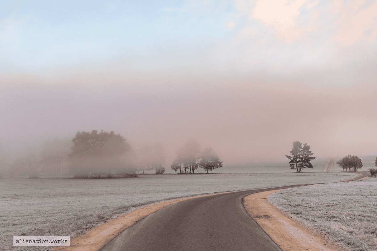 alienation works november 2019 galerie