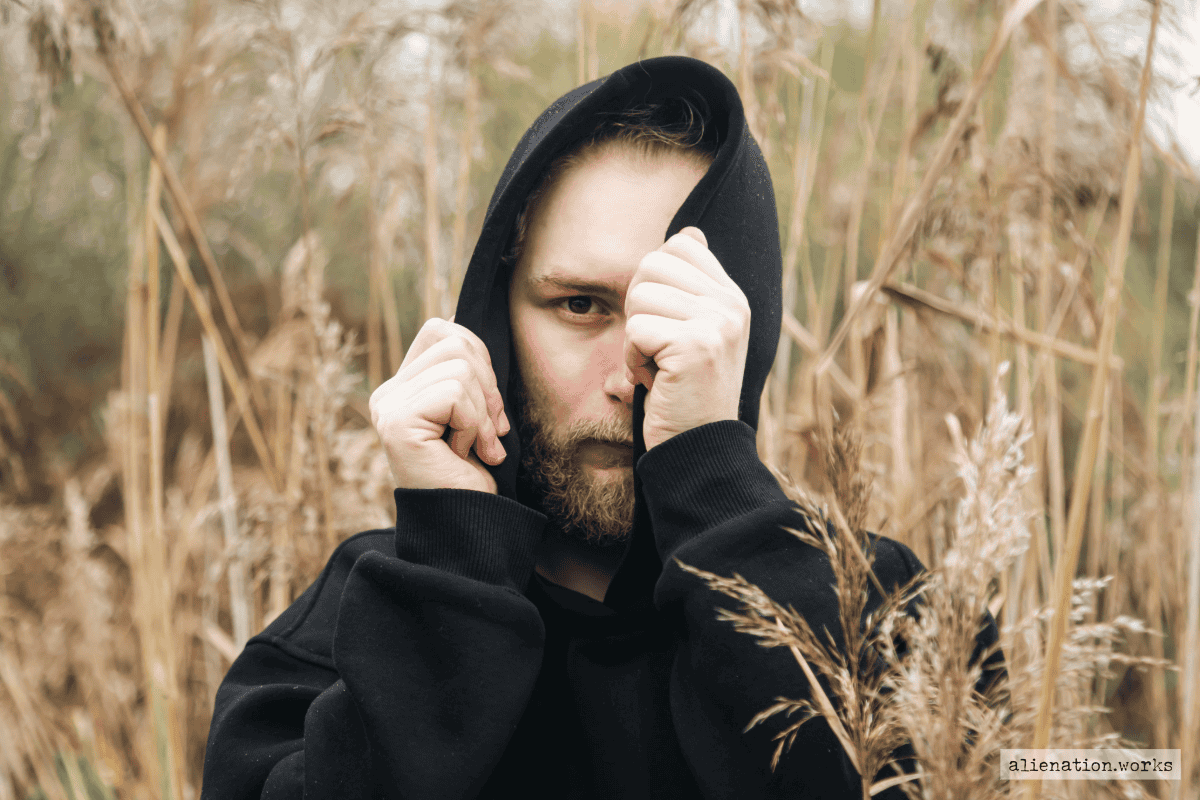 alienation works schizoide ps